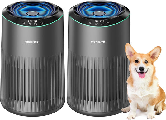 Air Purifiers for Bedroom Home for Smoke Pet Dander Odors 2 Pack Grey
